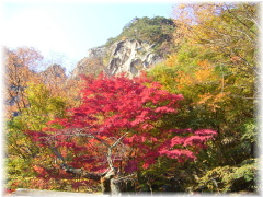豊かな紅葉と大自然